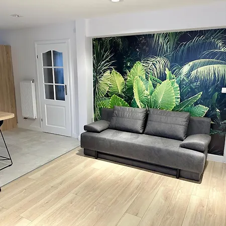 Apartment Rzemieslnicza 4 *